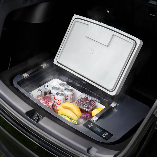 The Tesla Fridge - Ultimate Model 3 & Y Refrigerator